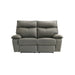 Wildcat - Motion Loveseat - Gray - Stylish Home Furniture