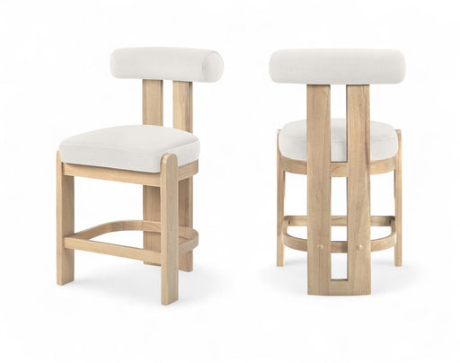 Arienzo - Velvet Performance Fabric Upholstered Counter Stool (Set of 2)