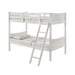 Sami - Bunk - Stylish Home Furniture