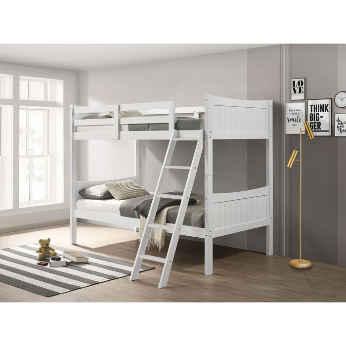 Sami - Bunk - Stylish Home Furniture
