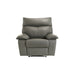 Wildcat - Motion Recliner - Gray - Stylish Home Furniture