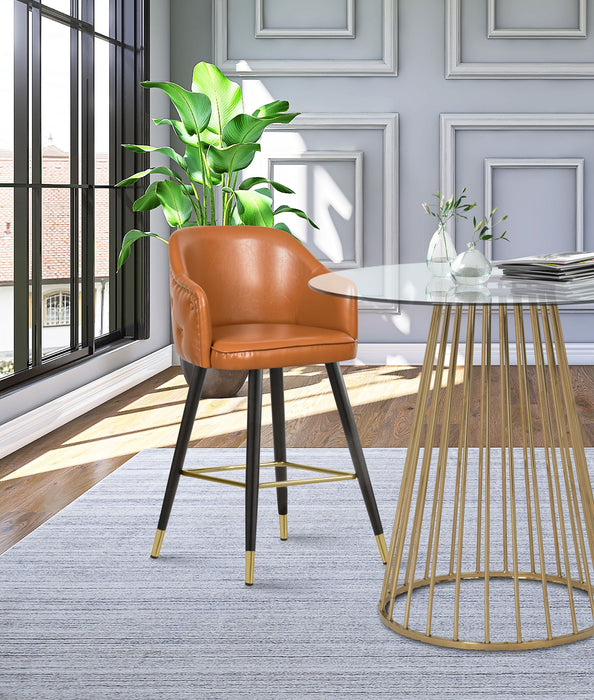 Barbosa - Counter Bar Stool (Set of 2)