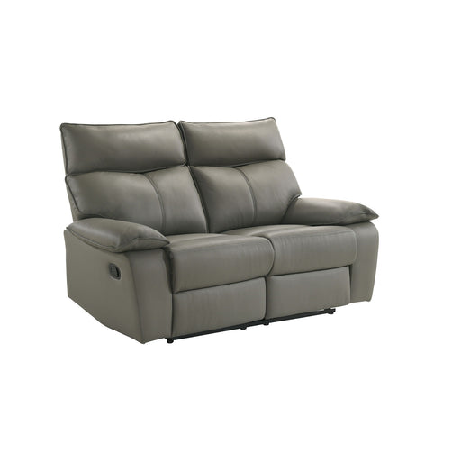 Wildcat - Motion Loveseat - Gray - Stylish Home Furniture