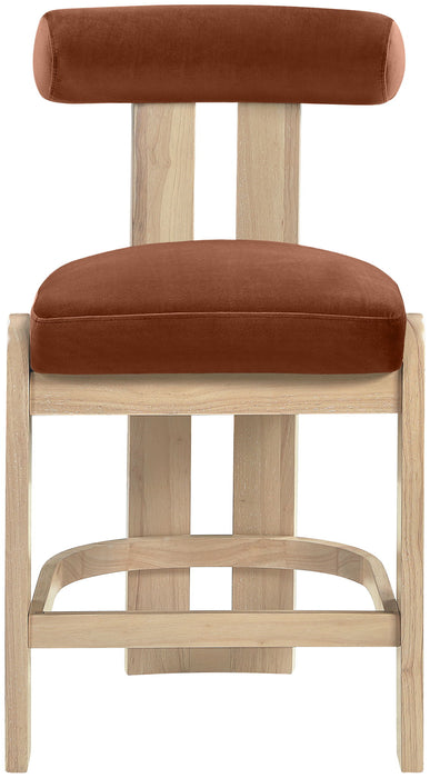 Arienzo - Velvet Performance Fabric Upholstered Counter Stool (Set of 2)