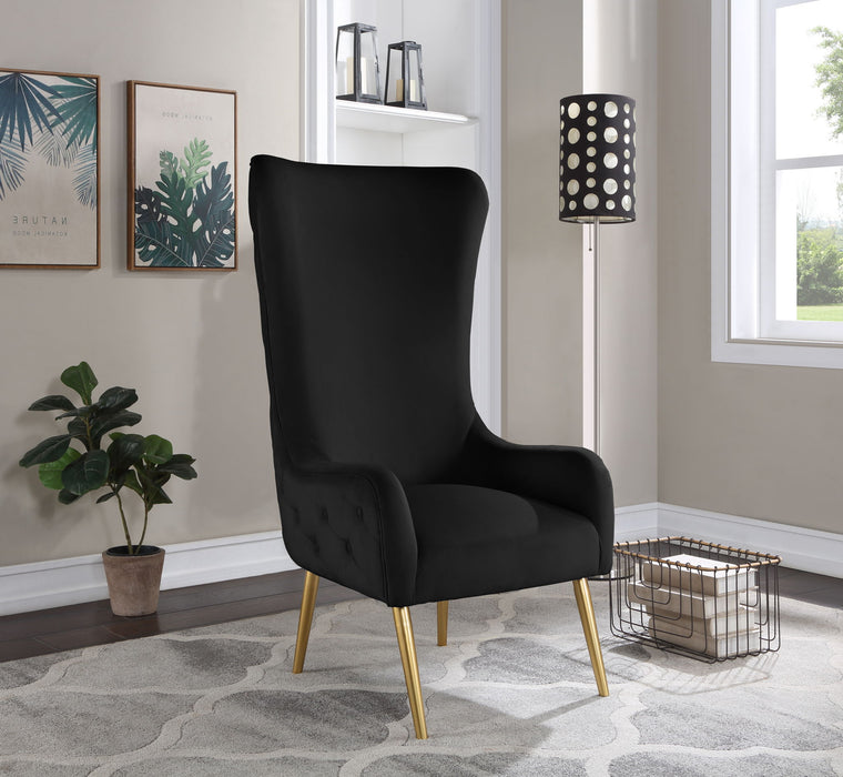 Alexander - Accent Chair - Stylish Home Furniture