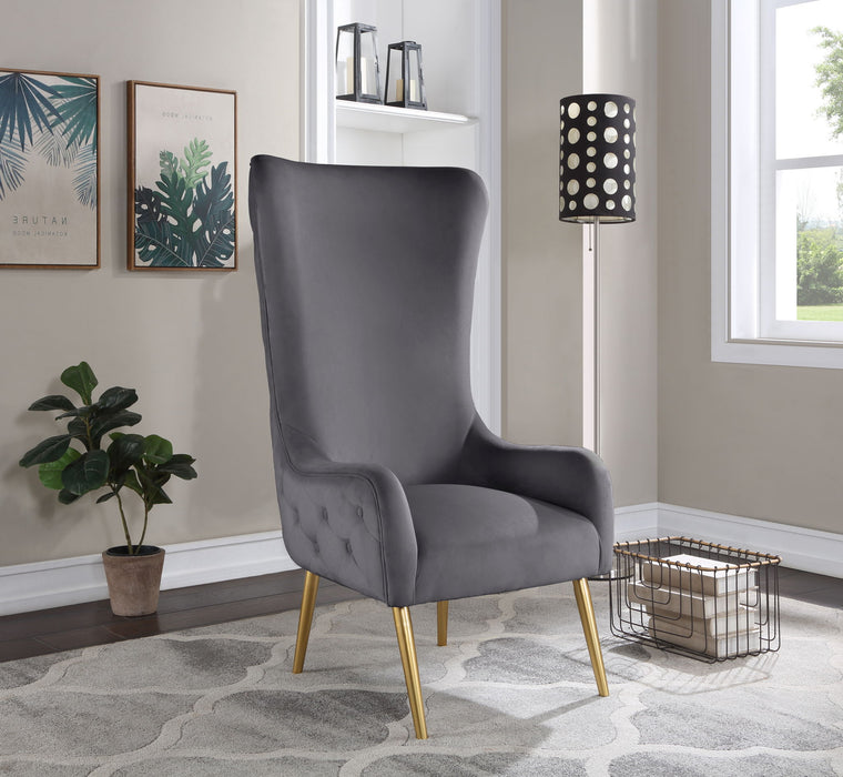 Alexander - Accent Chair - Stylish Home Furniture