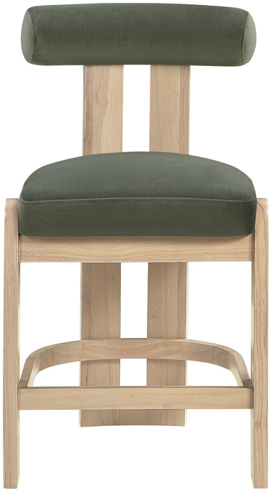 Arienzo - Velvet Performance Fabric Upholstered Counter Stool (Set of 2)