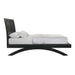 Allan - Bed - Stylish Home Furniture