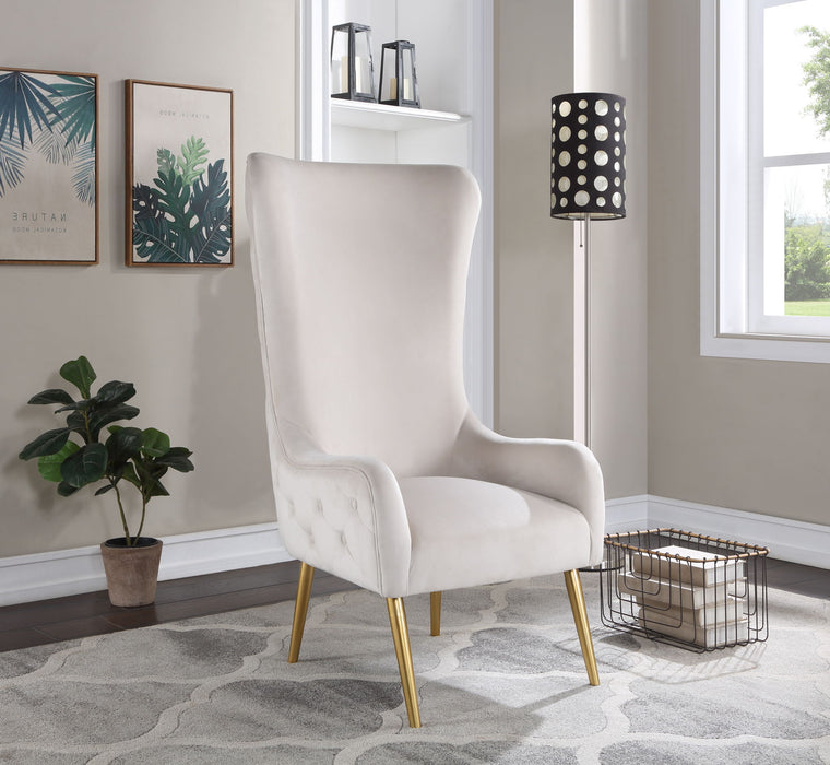 Alexander - Accent Chair - Stylish Home Furniture